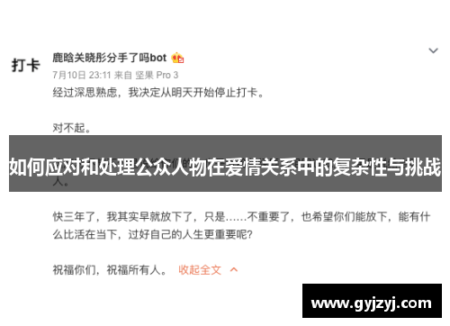 如何应对和处理公众人物在爱情关系中的复杂性与挑战