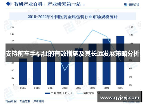 支持前车手福祉的有效措施及其长远发展策略分析