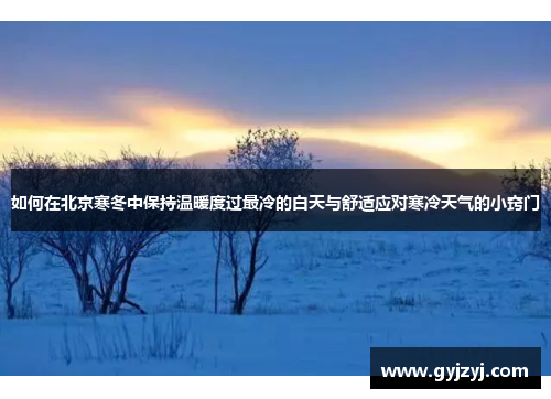 如何在北京寒冬中保持温暖度过最冷的白天与舒适应对寒冷天气的小窍门 如何在北京寒冬中保持温暖度过最冷的白天与舒适应对寒冷天气的小窍门