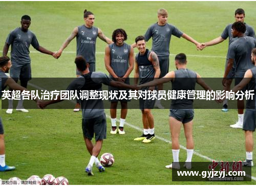 英超各队治疗团队调整现状及其对球员健康管理的影响分析 英超各队治疗团队调整现状及其对球员健康管理的影响分析