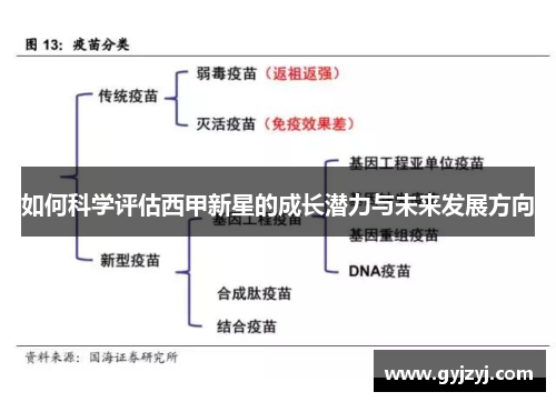 如何科学评估西甲新星的成长潜力与未来发展方向